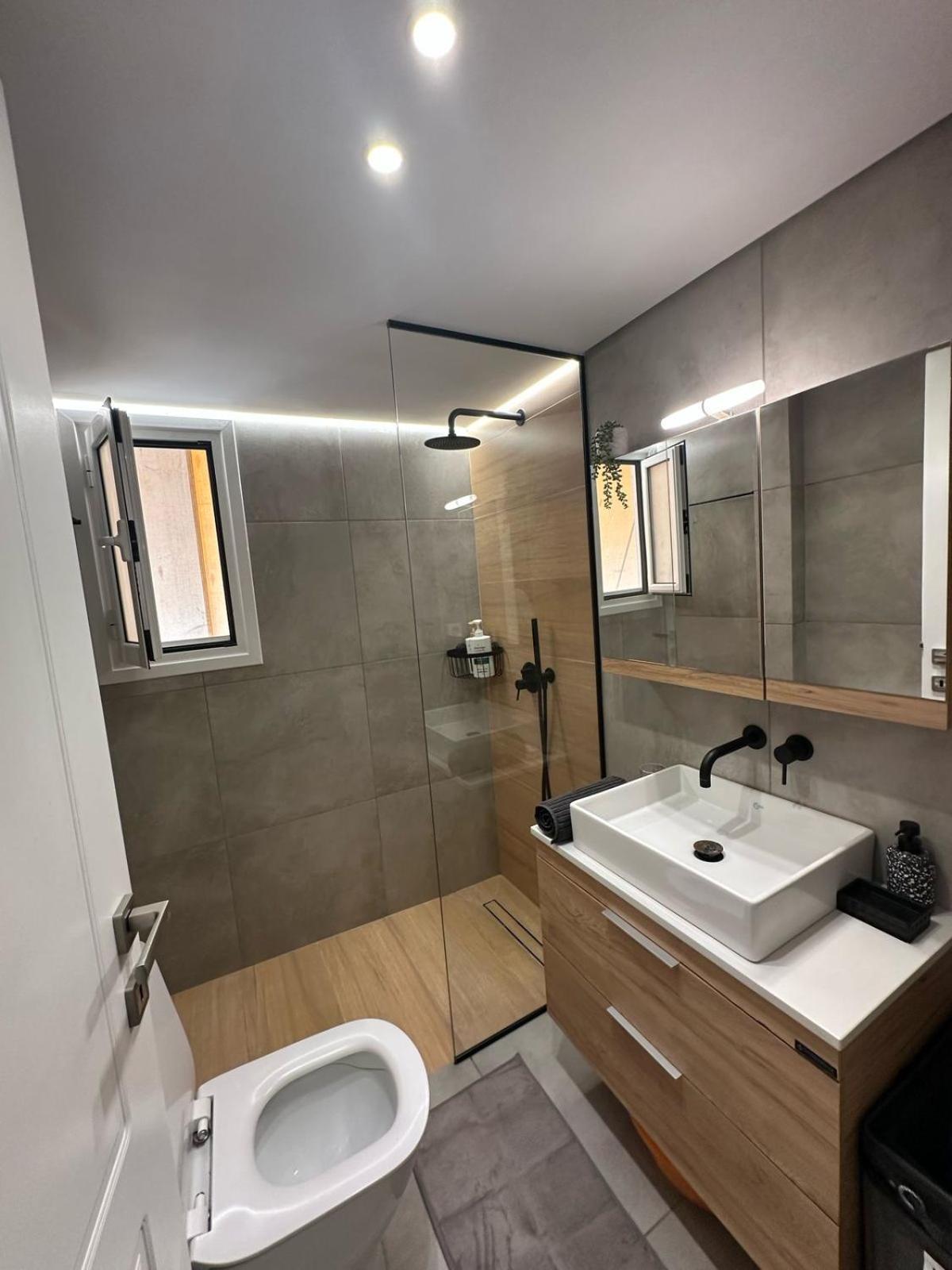 Mihaela-Andreea Luxury House Apartment Athens Exterior photo